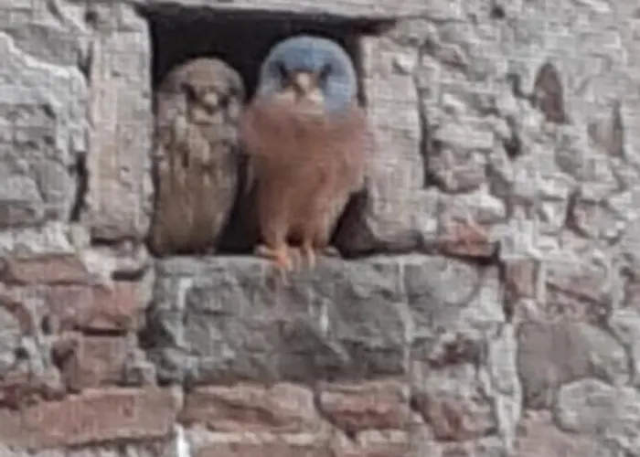 Nonno Sandro Appartement Tursi